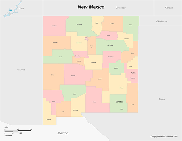 New Mexico with Counties